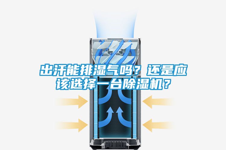 出汗能排湿气吗？还是应该选择一台除湿机？