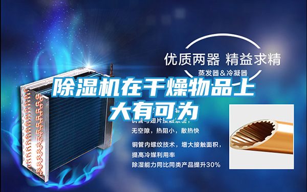 除湿机在干燥物品上大有可为