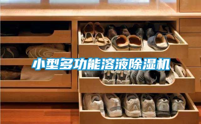 小型多功能溶液除湿机
