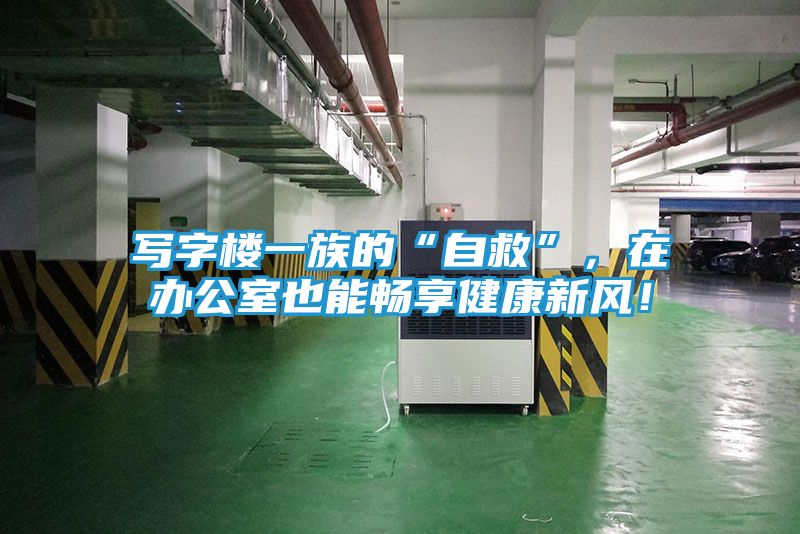 写字楼一族的“自救”，在办公室也能畅享健康新风！
