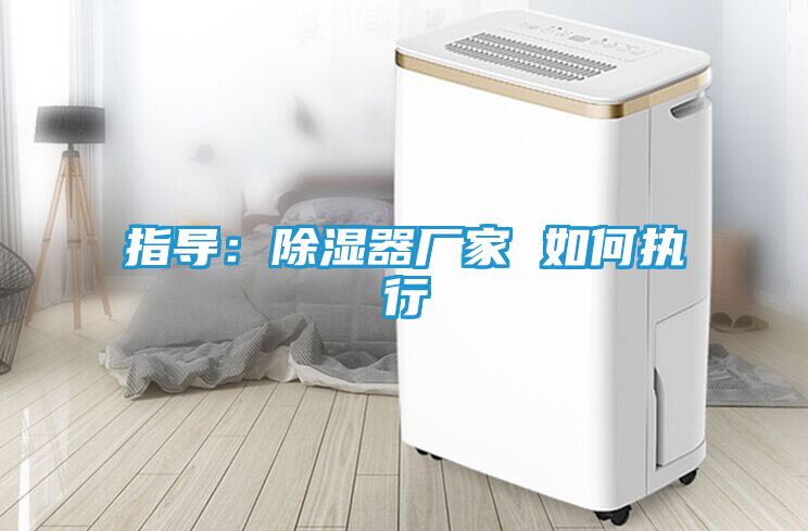 指导：除湿器厂家 如何执行