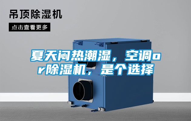 夏天闷热潮湿，空调or除湿机，是个选择