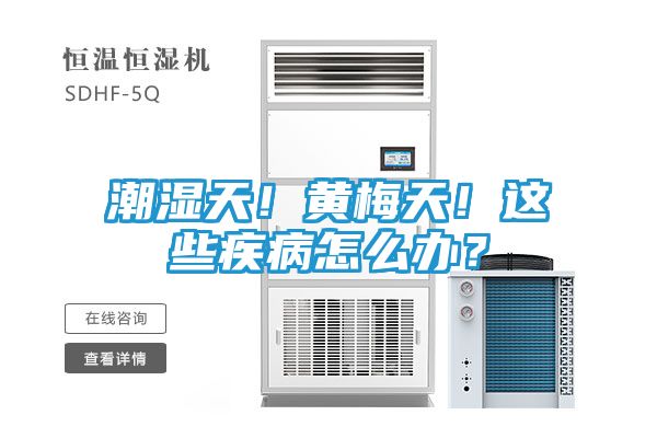 潮湿天！黄梅天！这些疾病怎么办？