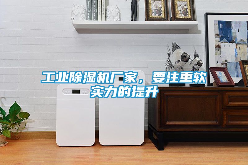 工业除湿机厂家，要注重软实力的提升