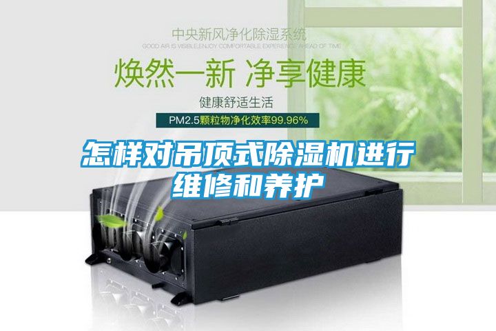 怎样对吊顶式除湿机进行维修和养护