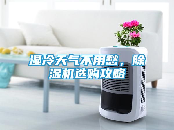 湿冷天气不用愁，除湿机选购攻略