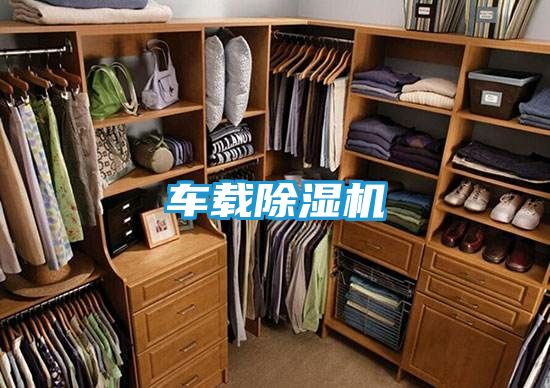 车载除湿机
