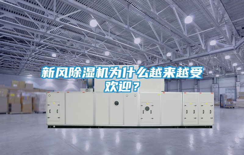 新风除湿机为什么越来越受欢迎？