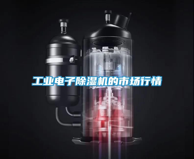 工业电子除湿机的市场行情