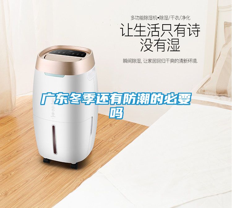 广东冬季还有防潮的必要吗