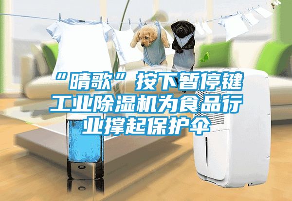 “晴歌”按下暂停键 工业除湿机为食品行业撑起保护伞