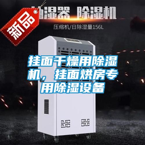 挂面干燥用除湿机，挂面烘房专用除湿设备