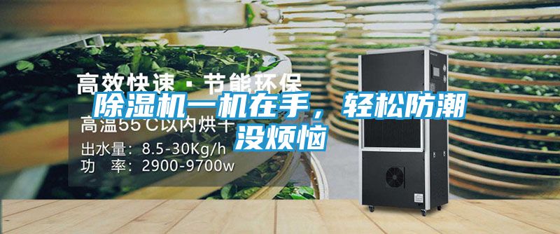 除湿机一机在手，轻松防潮没烦恼