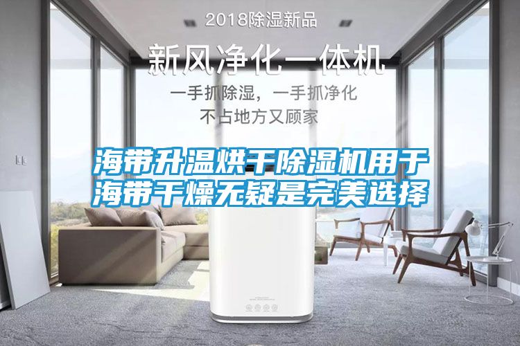 海带升温烘干除湿机用于海带干燥无疑是完美选择