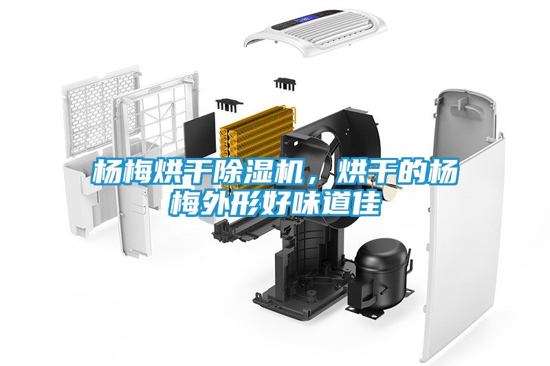 杨梅烘干除湿机，烘干的杨梅外形好味道佳