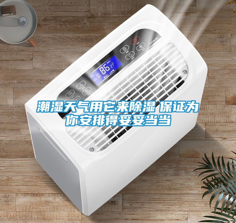 潮湿天气用它来除湿　保证为你安排得妥妥当当