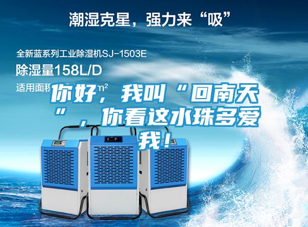 你好,我叫“回南天”,你看这水珠多爱我!