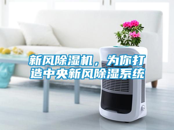 新风除湿机，为你打造中央新风除湿系统