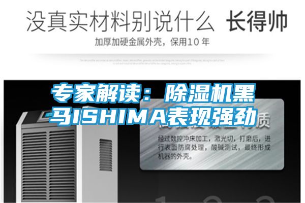 专家解读：除湿机黑马ISHIMA表现强劲