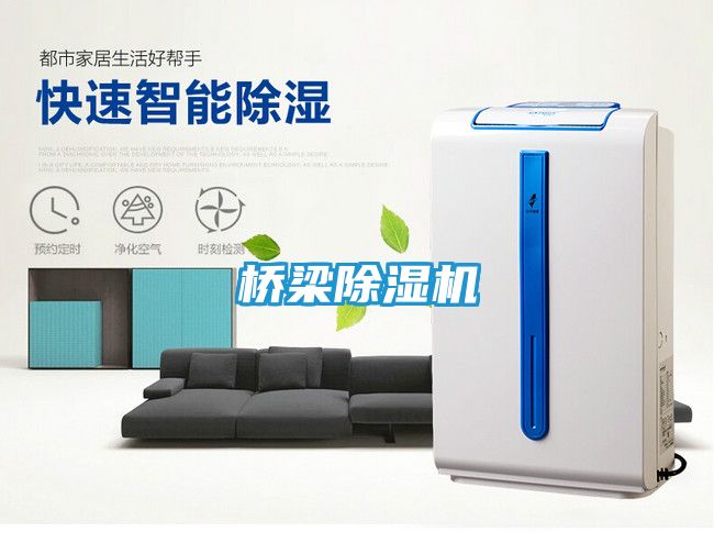 桥梁除湿机