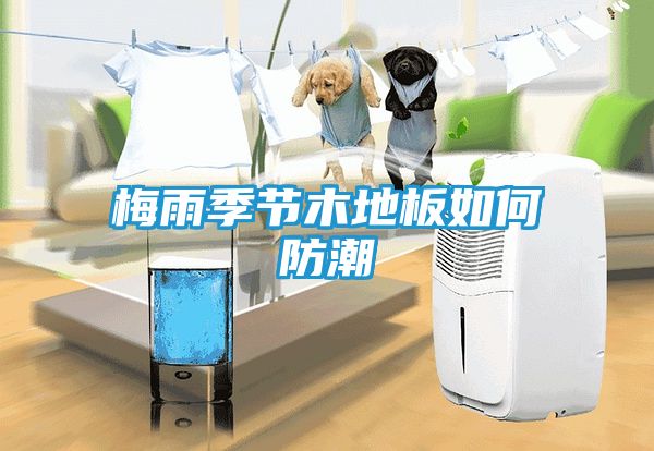 梅雨季节木地板如何防潮
