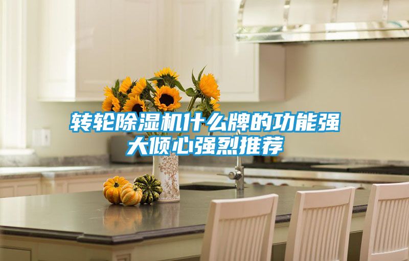 转轮除湿机什么牌的功能强大倾心强烈推荐