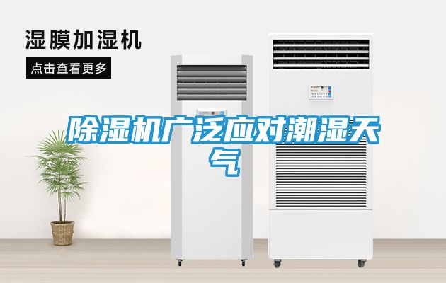 除湿机广泛应对潮湿天气