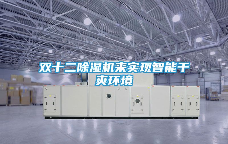 双十二除湿机来实现智能干爽环境