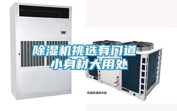 除湿机挑选有门道 小身材大用处