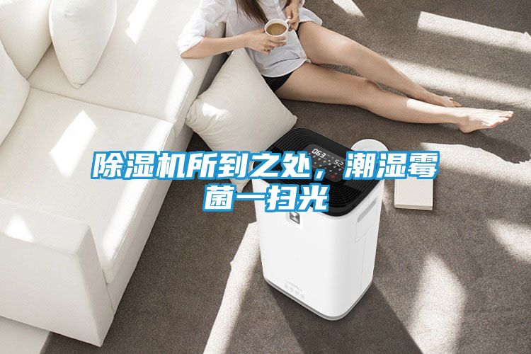 除湿机所到之处，潮湿霉菌一扫光