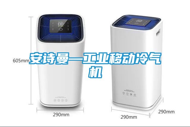 安诗曼—工业移动冷气机