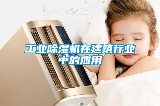 工业除湿机在建筑行业中的应用