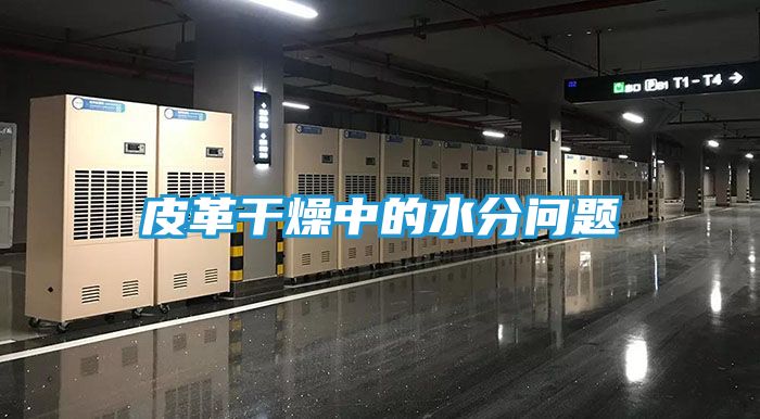 皮革干燥中的水分问题