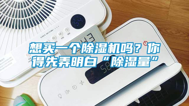 想买一个除湿机吗？你得先弄明白“除湿量”
