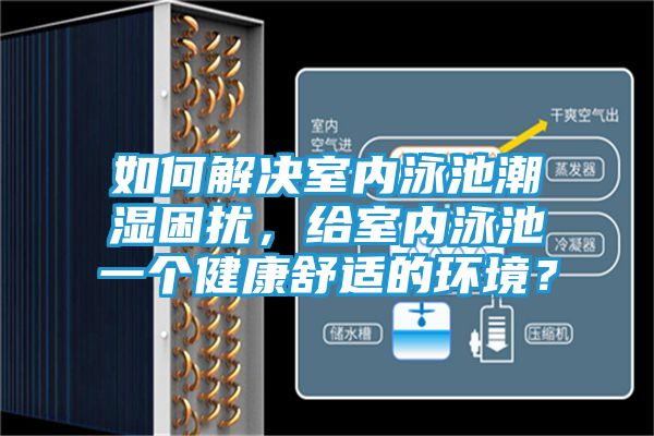 如何解决室内泳池潮湿困扰，给室内泳池一个健康舒适的环境？