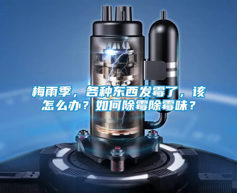 梅雨季，各种东西发霉了，该怎么办？如何除霉除霉味？