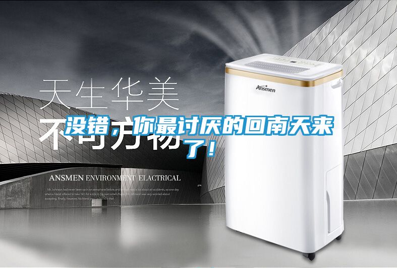 没错，你最讨厌的回南天来了！