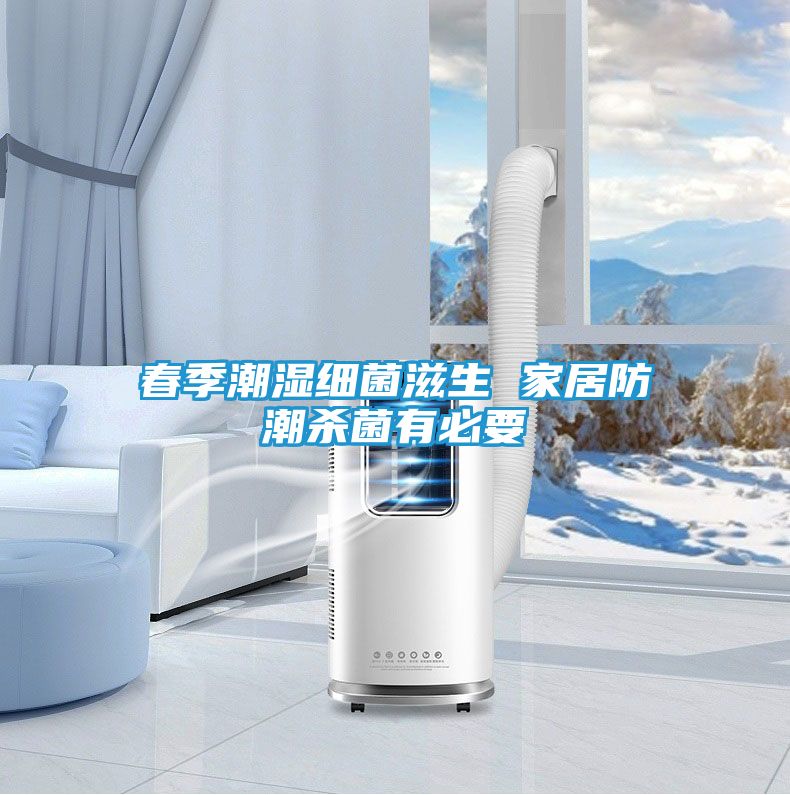 春季潮湿细菌滋生 家居防潮杀菌有必要