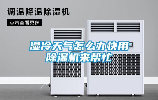 湿冷天气怎么办快用除湿机来帮忙