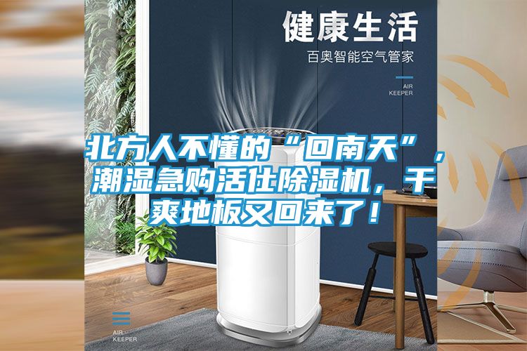 北方人不懂的“回南天”，潮湿急购活仕除湿机，干爽地板又回来了！