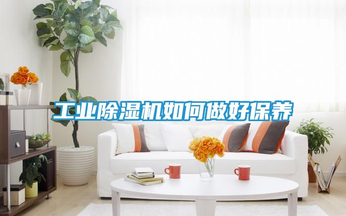 工业除湿机如何做好保养