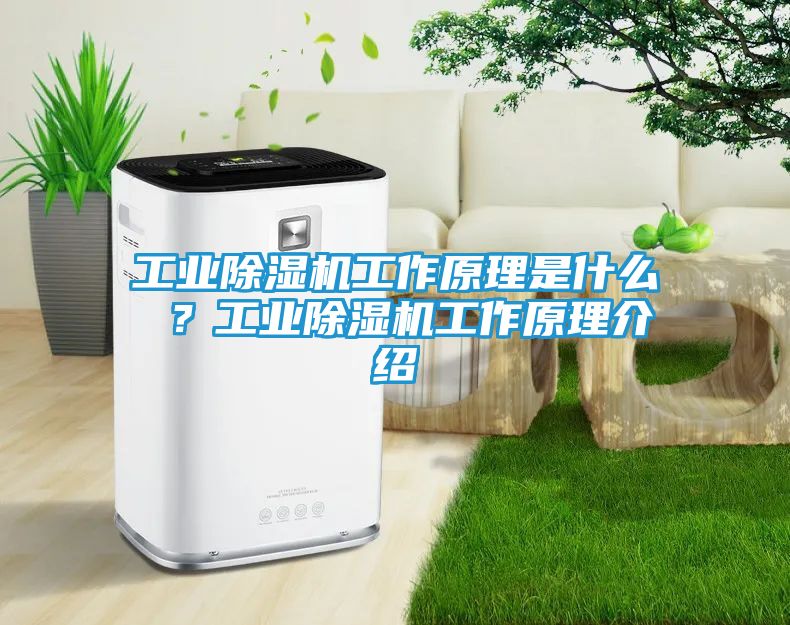 工业除湿机工作原理是什么 ？工业除湿机工作原理介绍