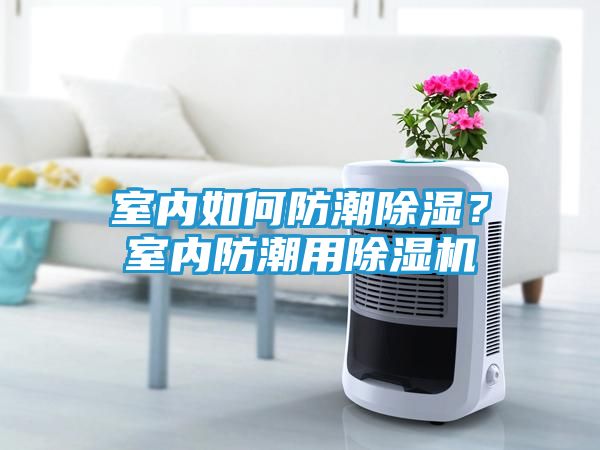 室内如何防潮除湿？室内防潮用除湿机
