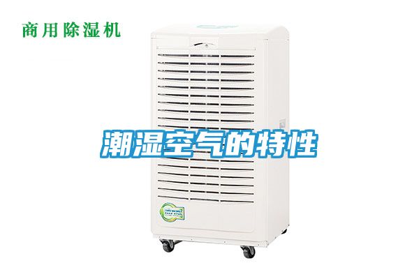 潮湿空气的特性