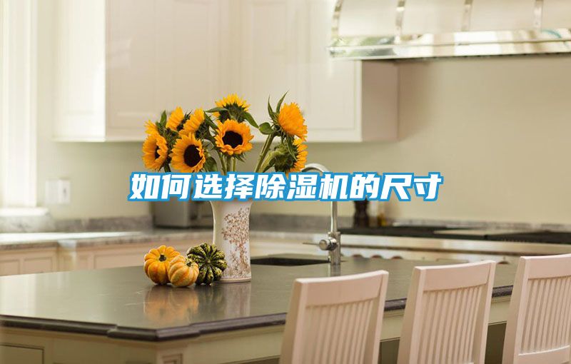 如何选择除湿机的尺寸