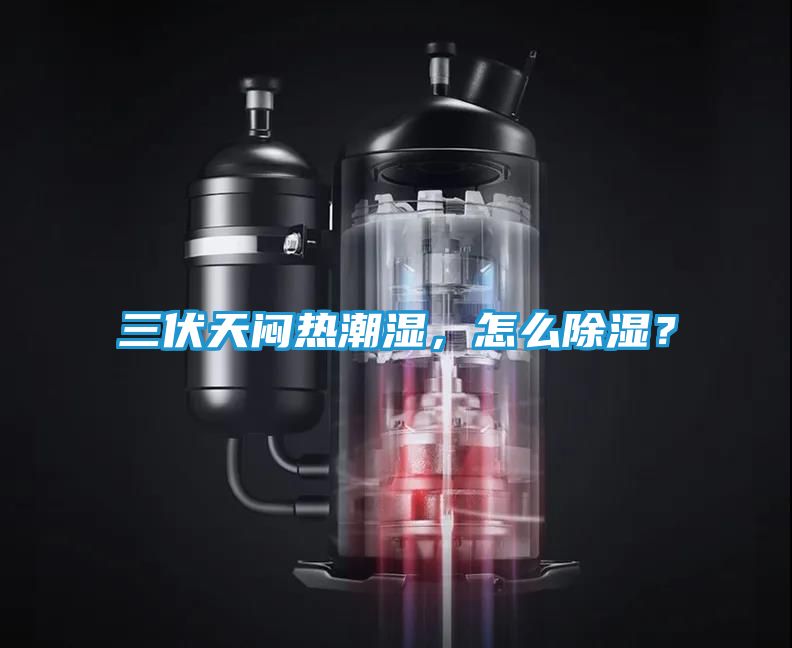 三伏天闷热潮湿，怎么除湿？
