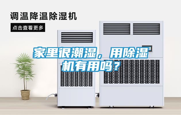 家里很潮湿，用除湿机有用吗？