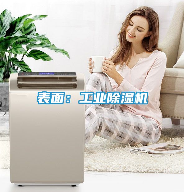 表面：工业除湿机