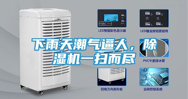 下雨天潮气逼人，除湿机一扫而尽