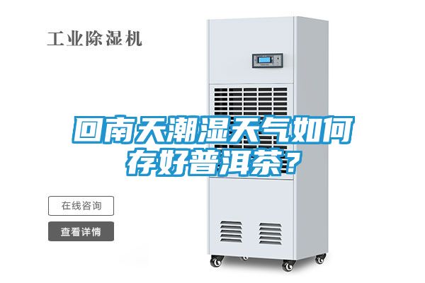 回南天潮湿天气如何存好普洱茶？